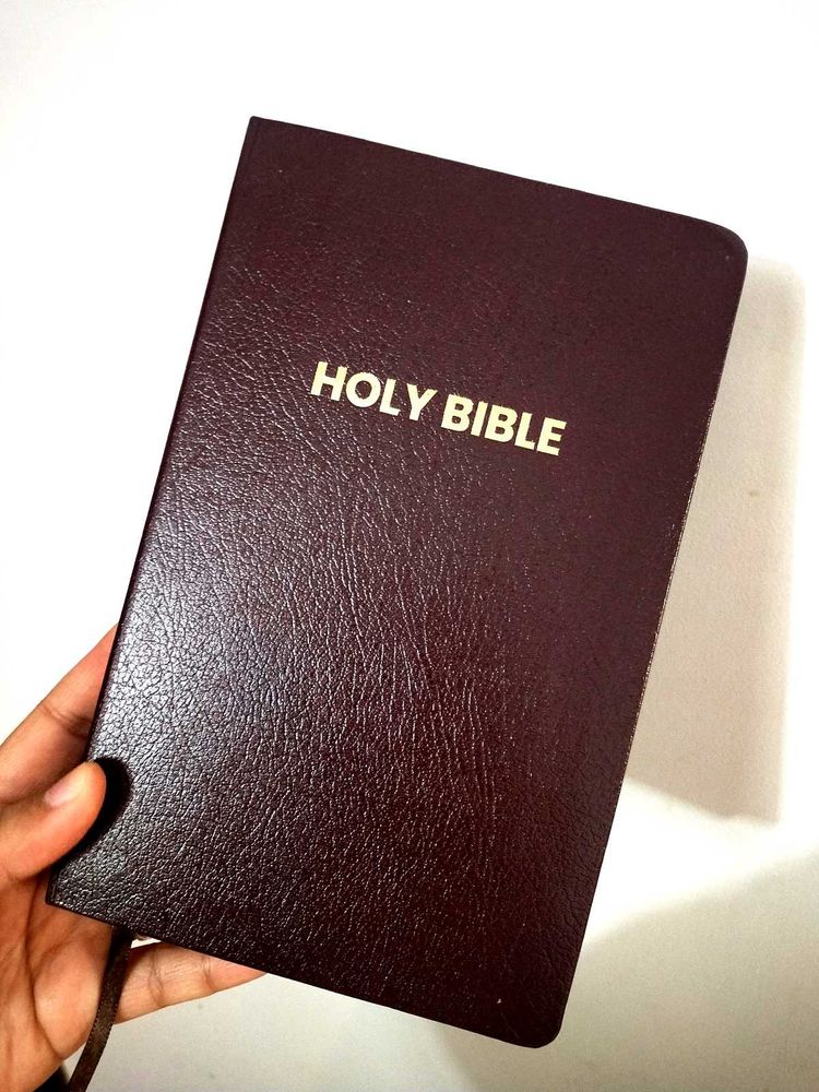 NIV Holy Bible, Leather Cover, Gold Borders