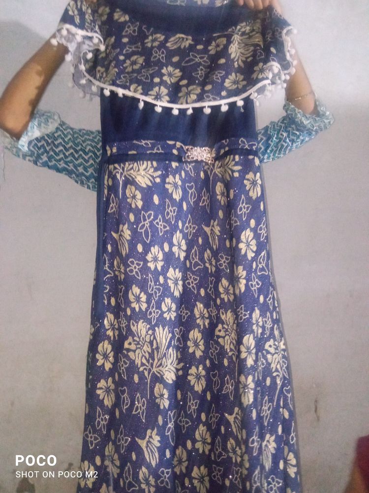 Dress 2 Days Use