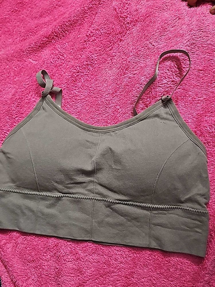 New Paded Bra