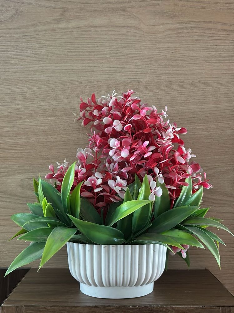 Floral Arrangement in White Pot