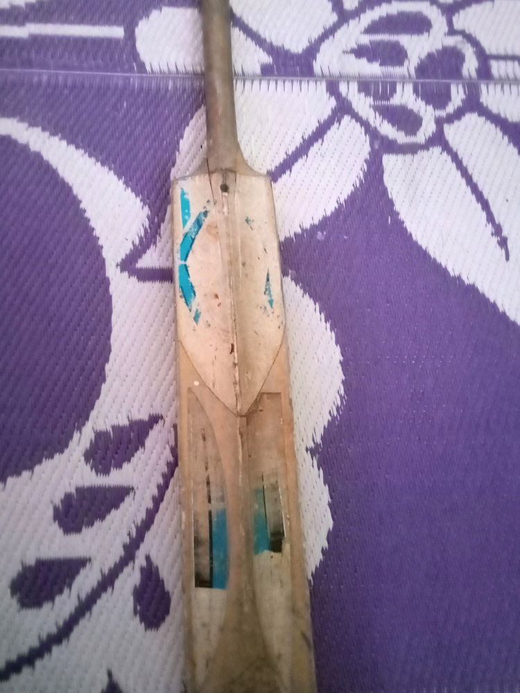 Its A Cricket Bat