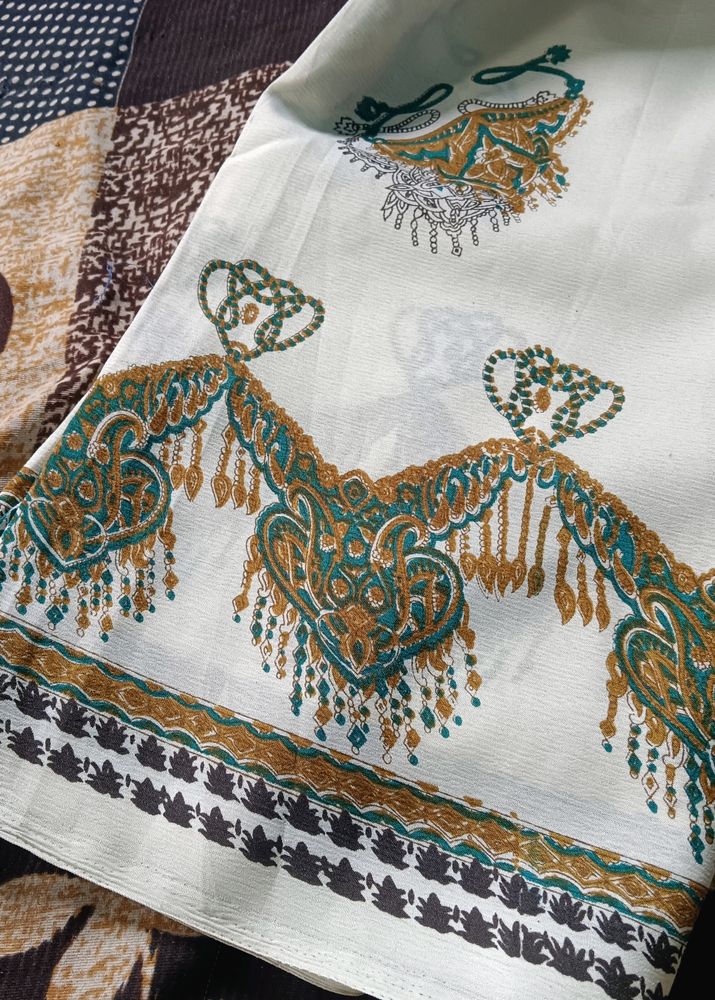 Beautiful Saree