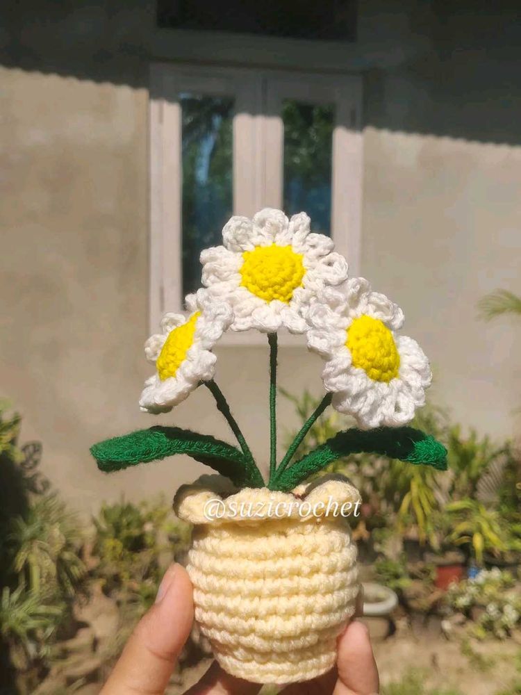 Daisy Crochet  Flower n Flowerpot