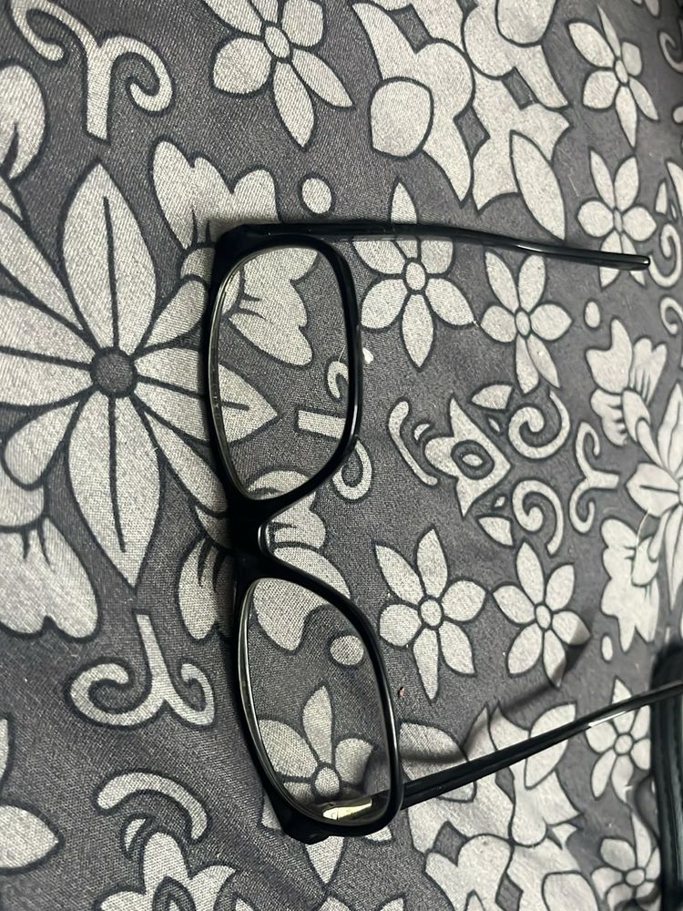 French Connection glasses