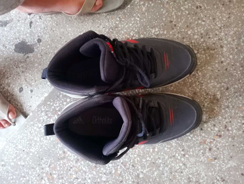 Adidas basketball Shoes