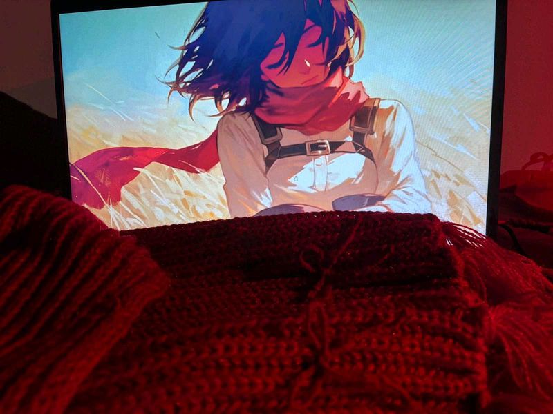 Mikasa Scarf