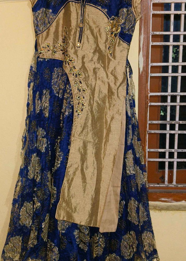 Ethnic Gowns