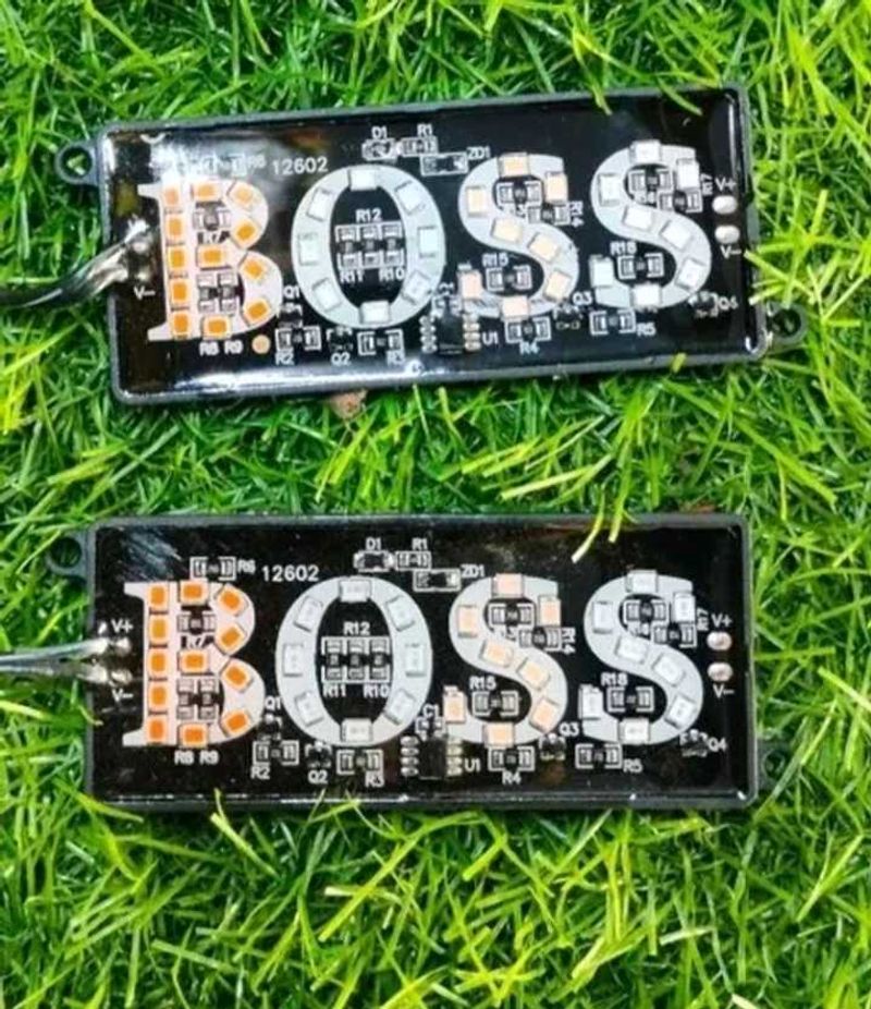 2pic BOSS LED Light