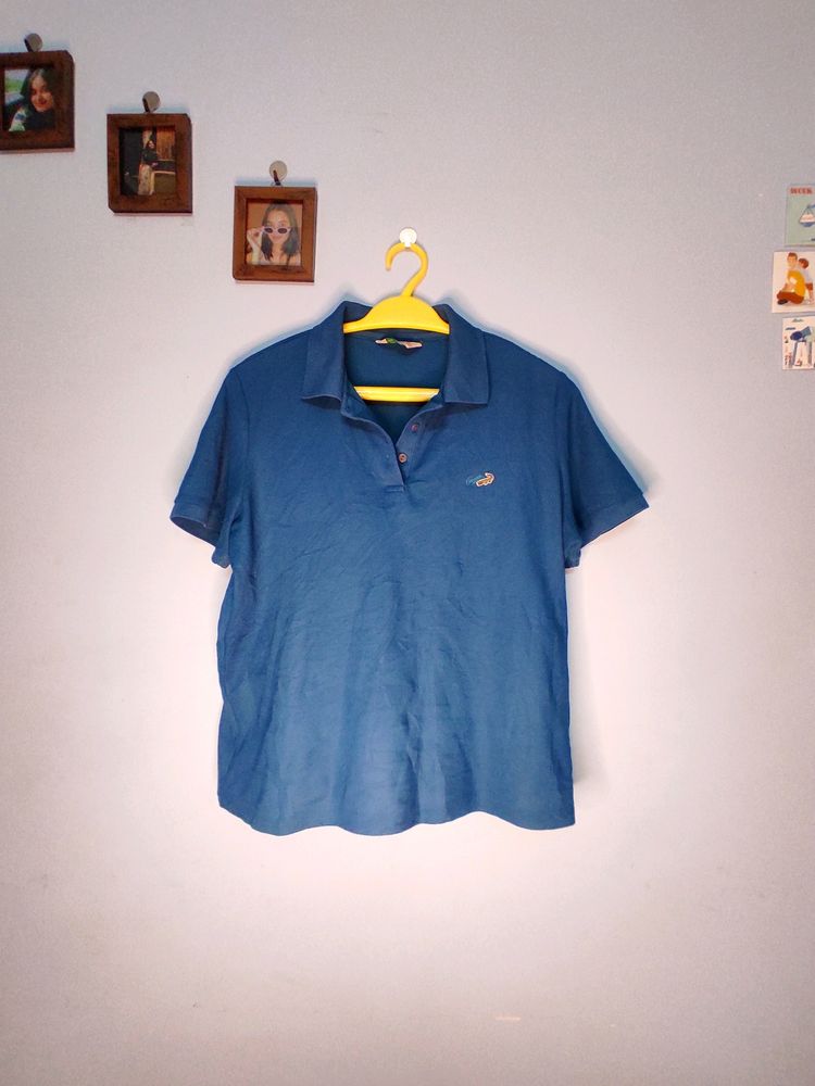 T Shirt Of Crocodile Brand It For Women