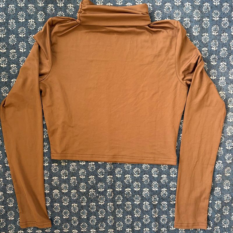 Brown Turtleneck Long Sleeve Top