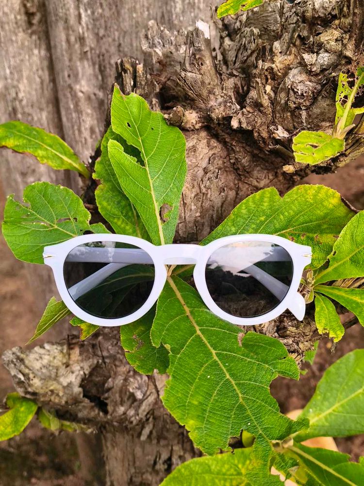 🤍White Sunglasses🤍
