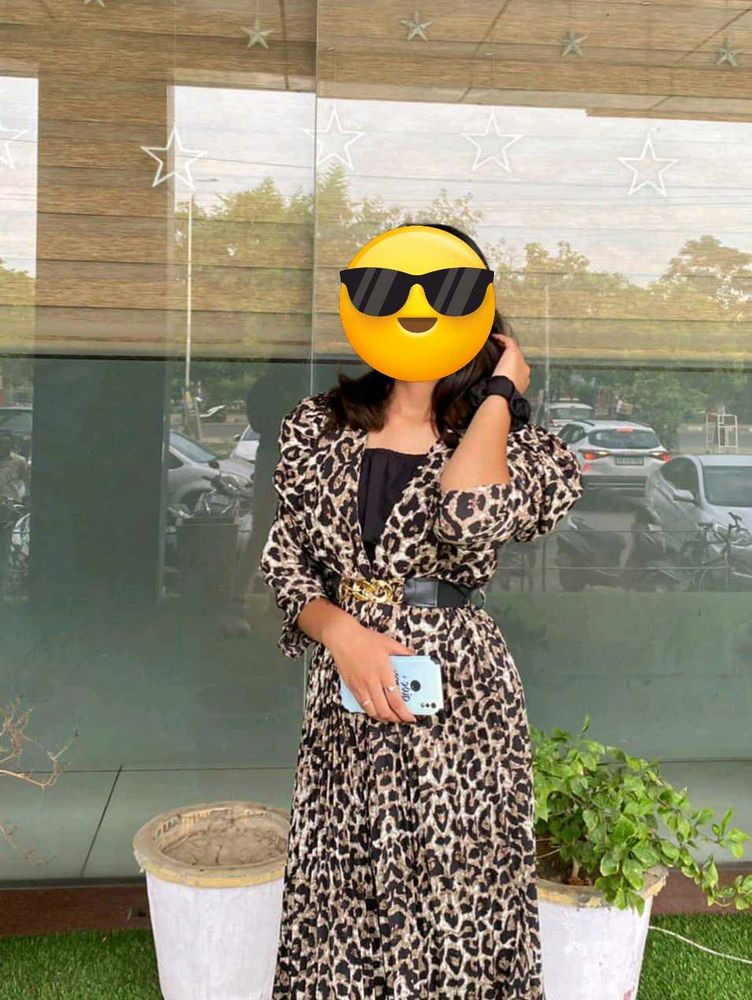 Animal Print Dress