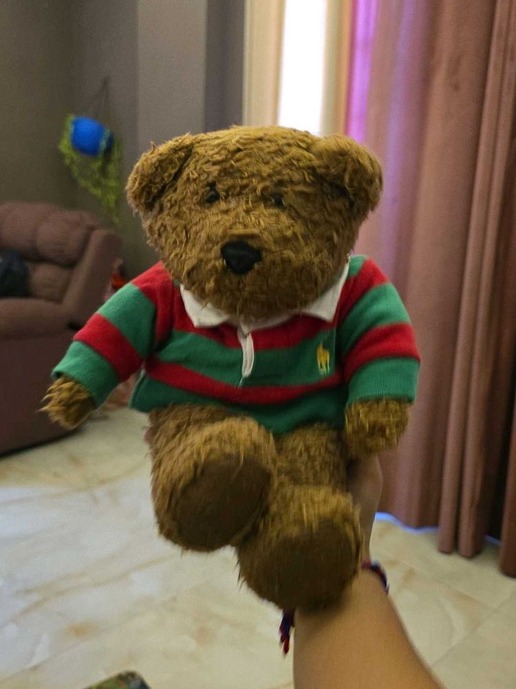 tshirt bear