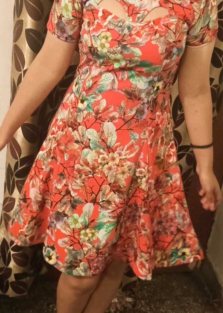 Floral Print Fit &amp; Flare Dress With ( Freebie)