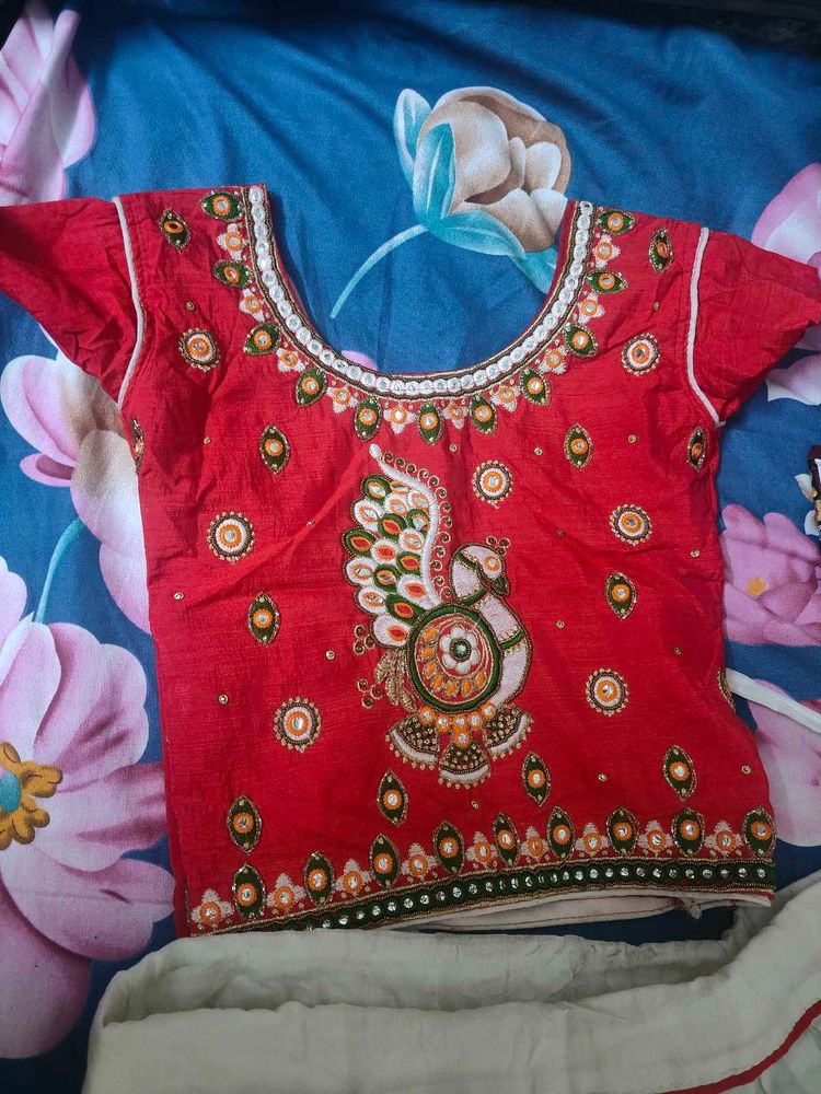 Red Embroidered Blouse Lehenga
