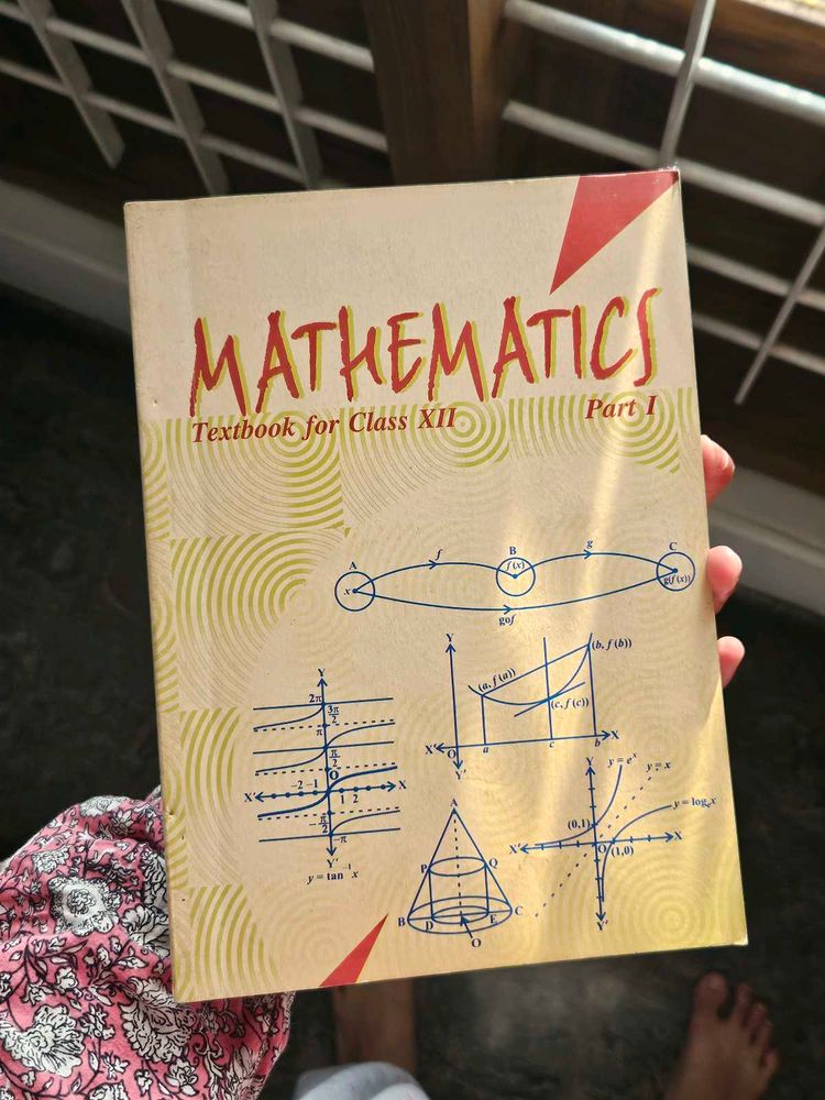 Mathematics Textbook Class XII ncert
