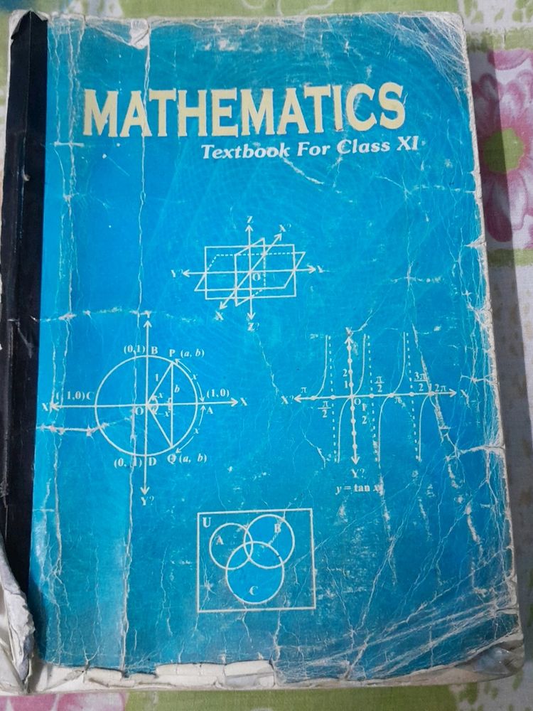 Mathematics Book (Class 11)