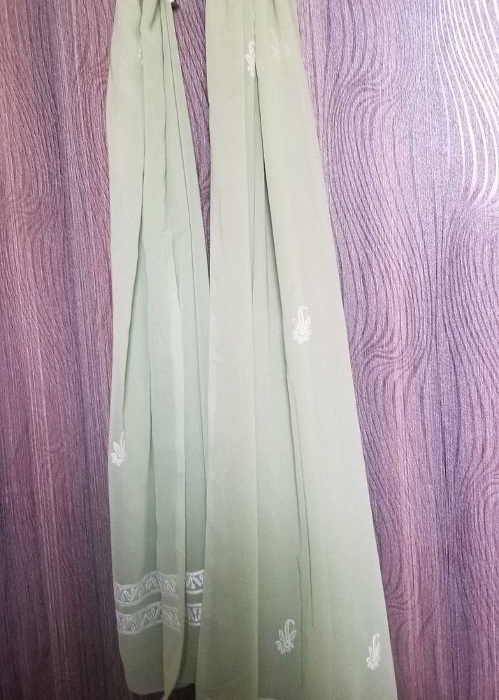 Pista Green  Lucknow Embroidered Dupatta