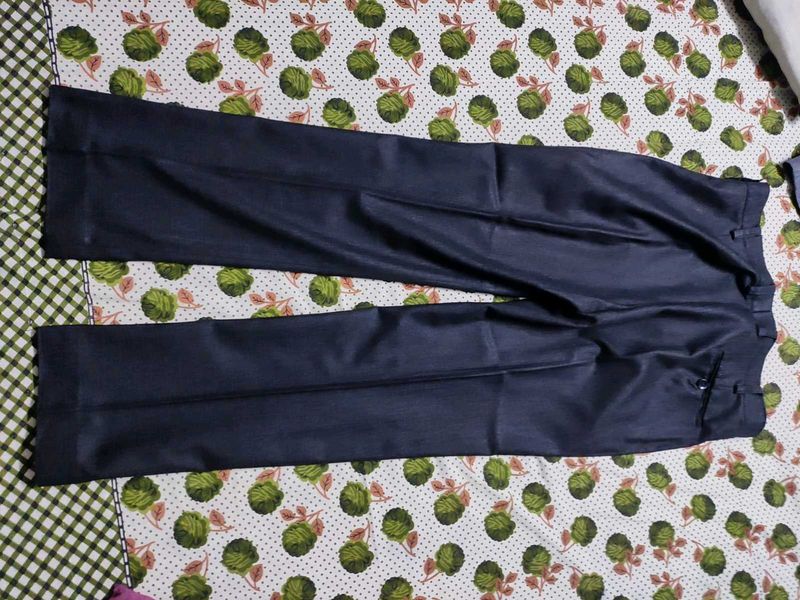 Stylish Dark Blue Trousers