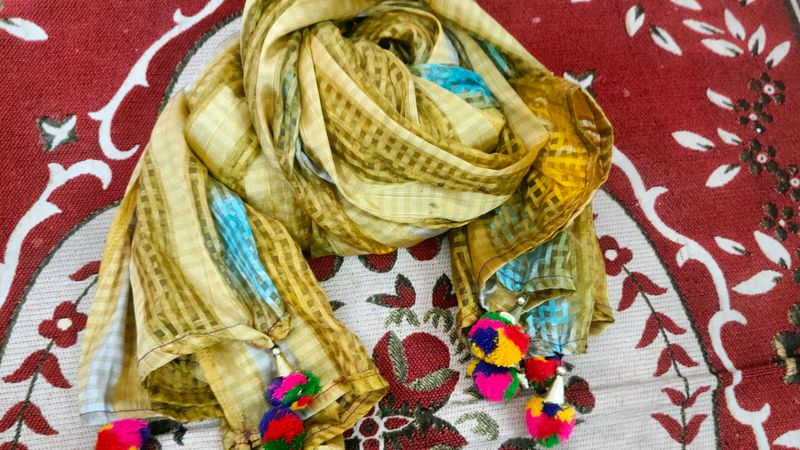 Party Wear Dupatta