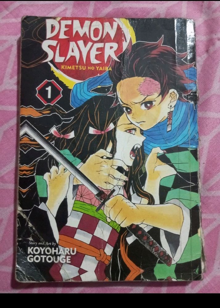 Demon Slayer Manga Volume 1