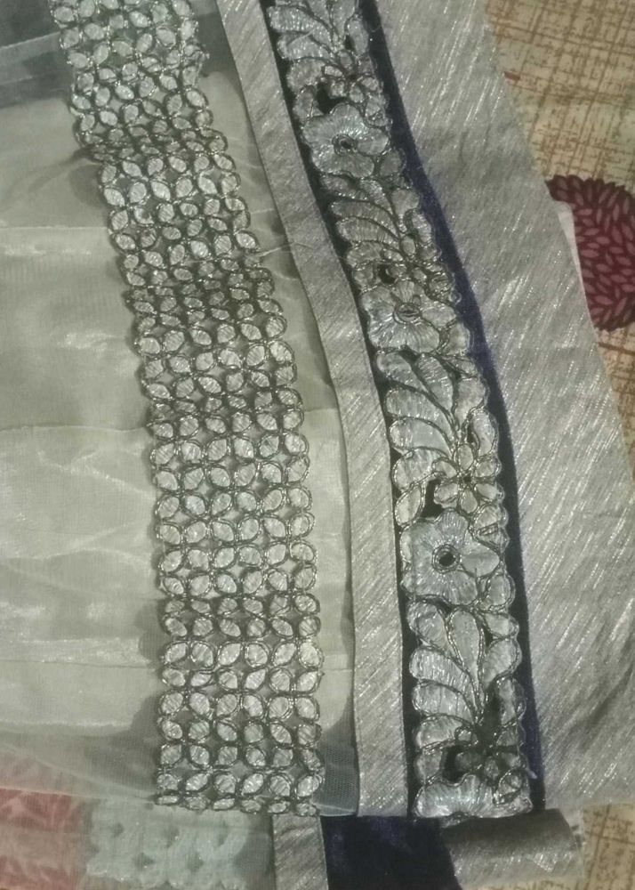 Elegant Embellished Lehanga Skirt