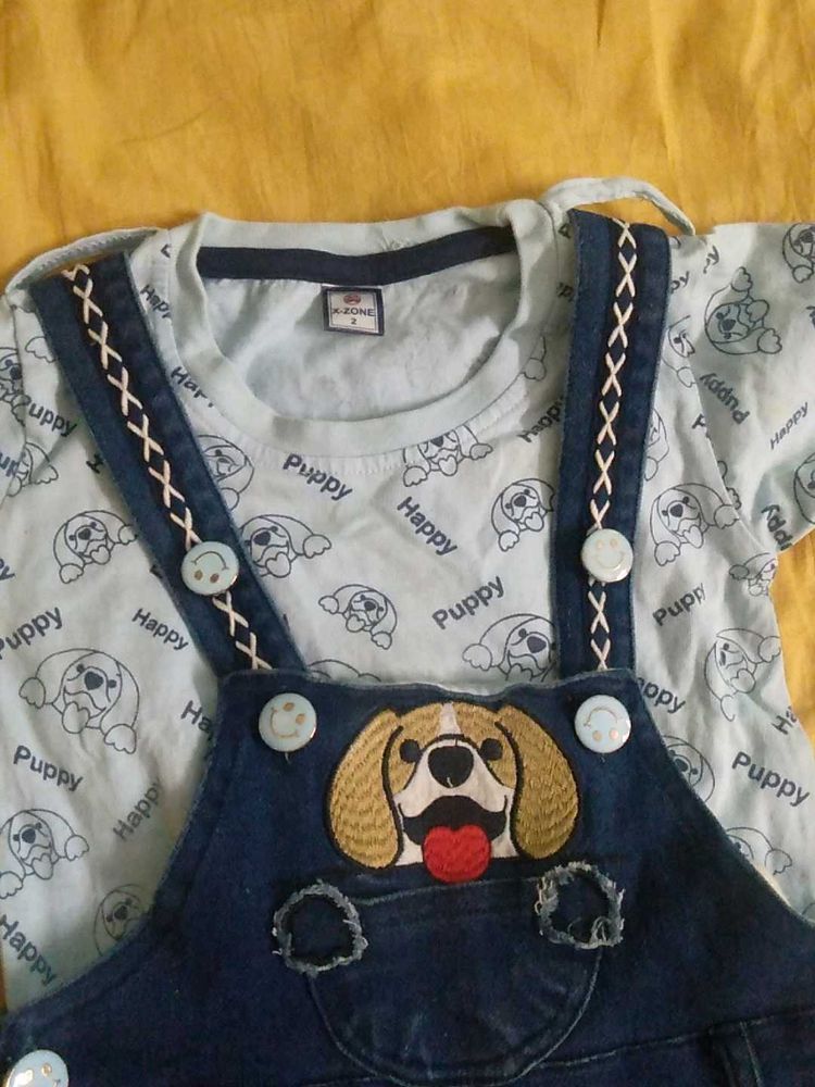 Cute Puppy Outfit