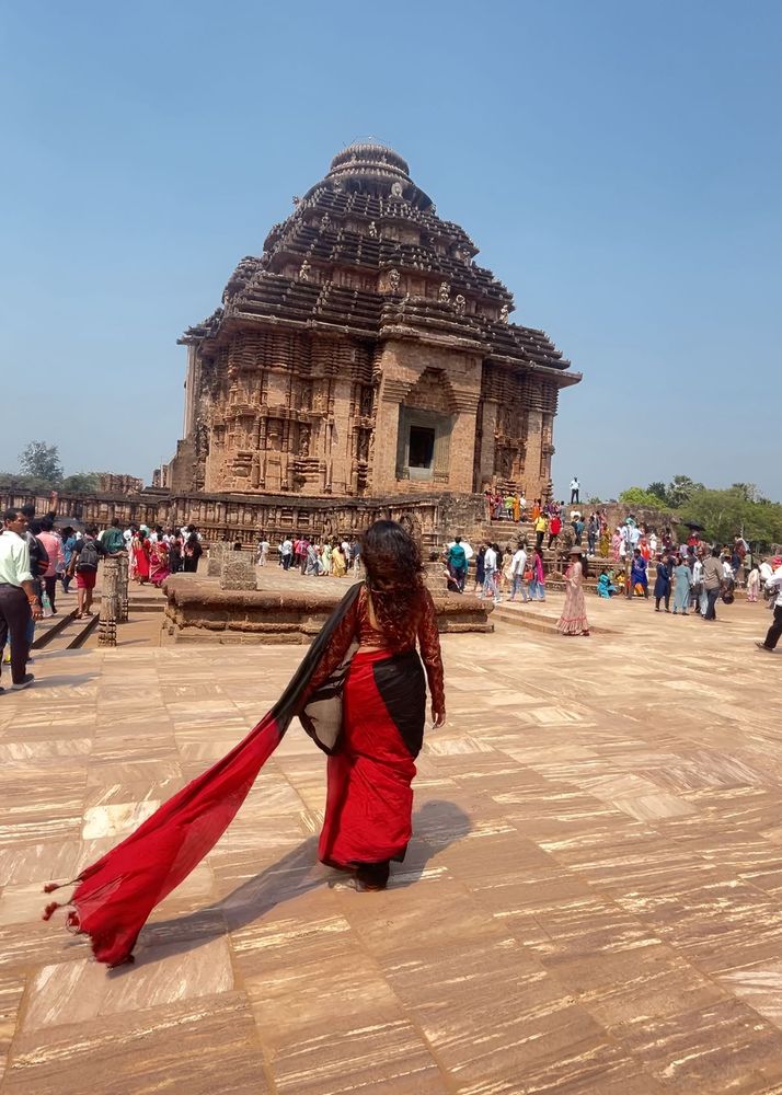 Elegant Red Saree blouse not included