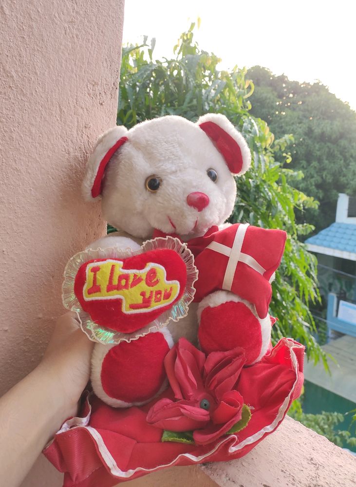 Soft Teddy Bear 🧸