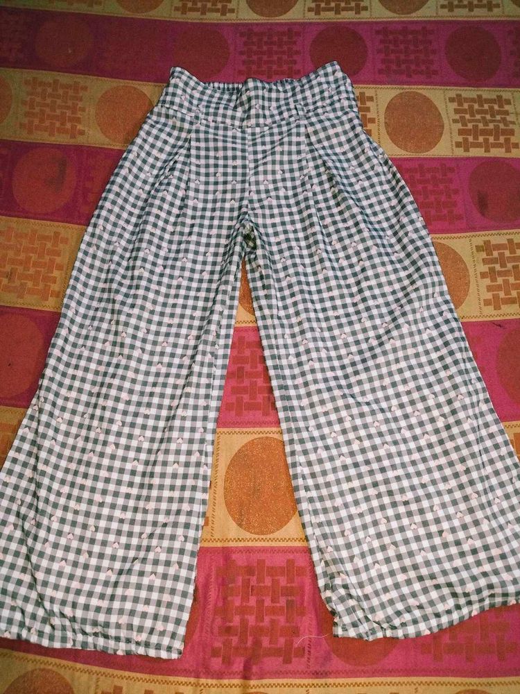 Plazo Pant
