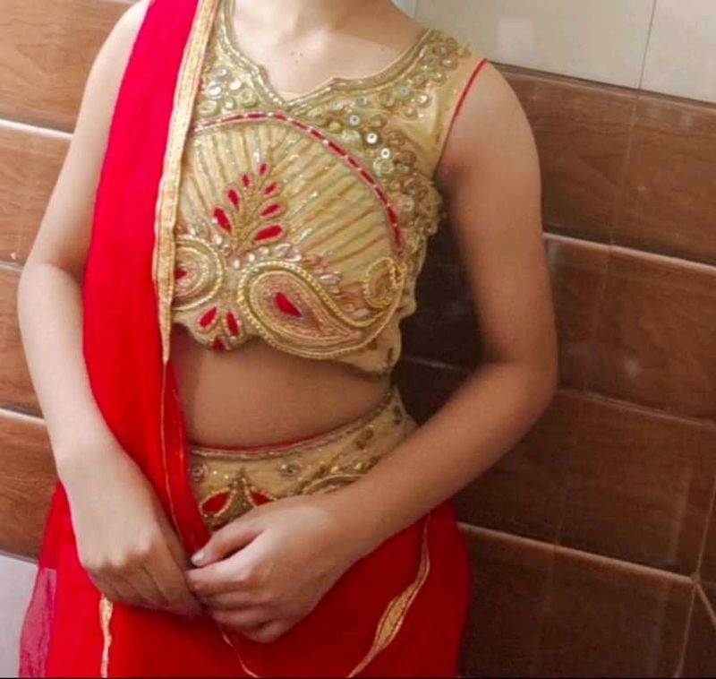 Embroidered lehenga and choli