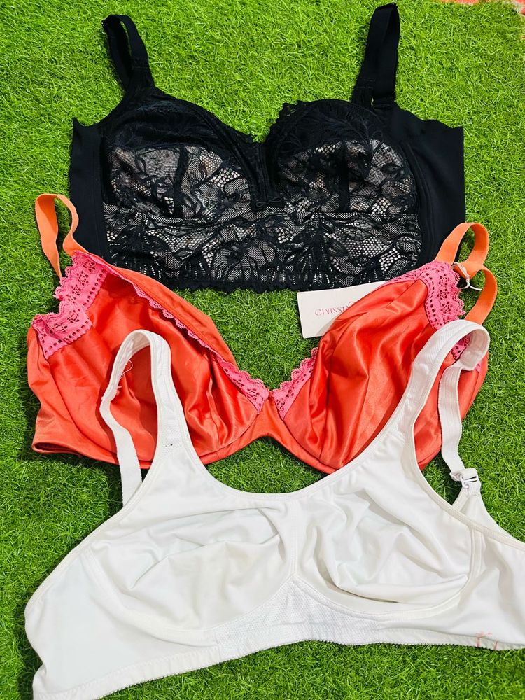 38 D/dd Size