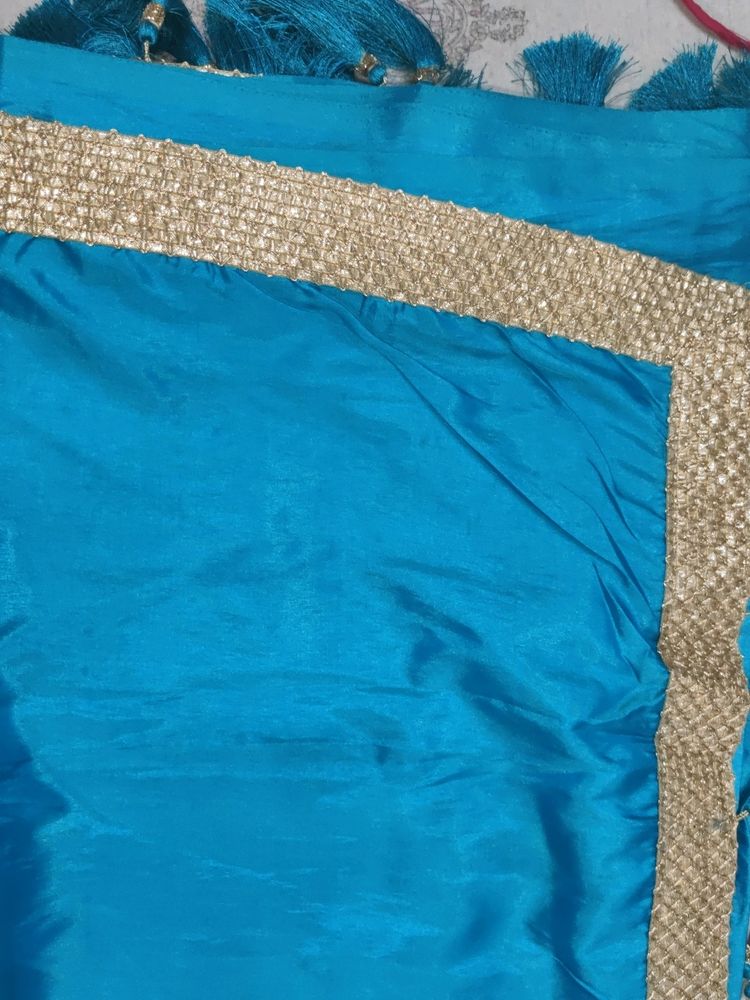 Light Firozi Saree With Golden Border