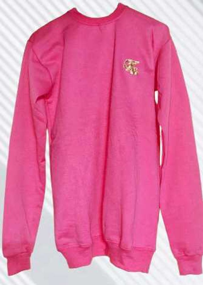 Pink 🩷 Sweatshirt
