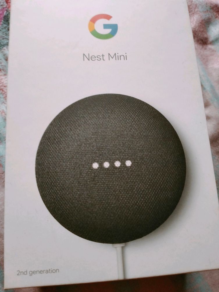 Google Nest Mini