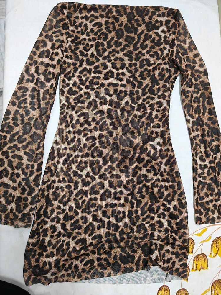 Leopard Print Boat Neck Mini Dress