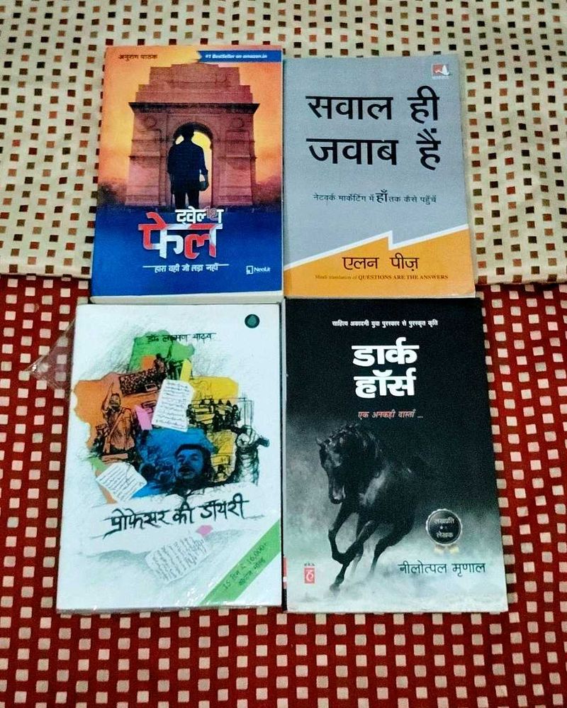 4 Hindi Literature Novels Set