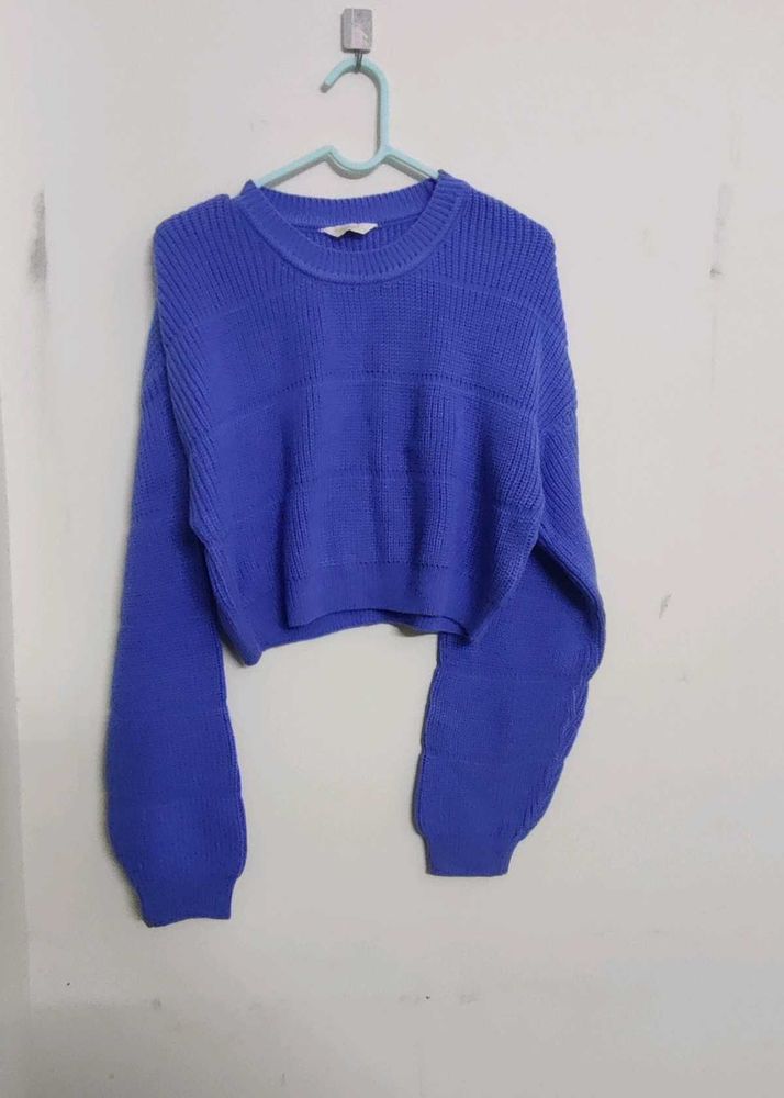 Berrylush Crop Acrylic Pulliver Sweater