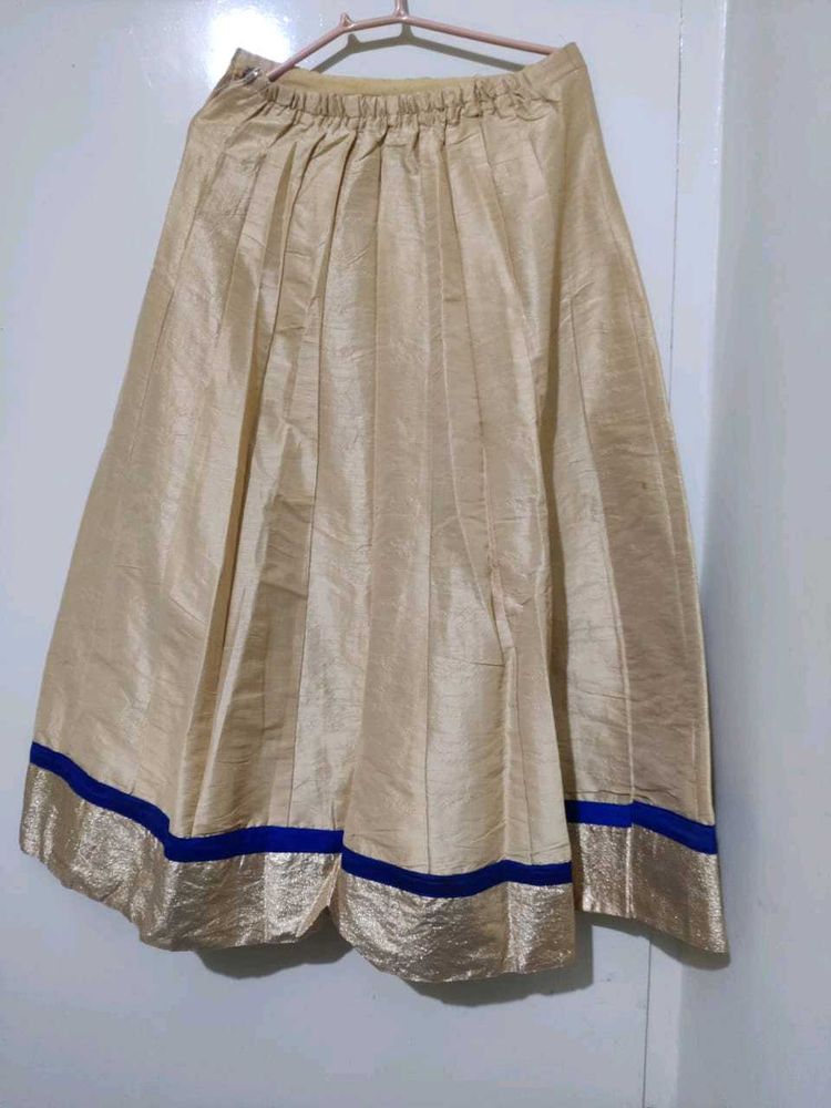 Ethnic Skirt