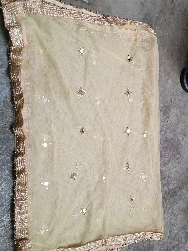 Embellished Dupatta mirror work