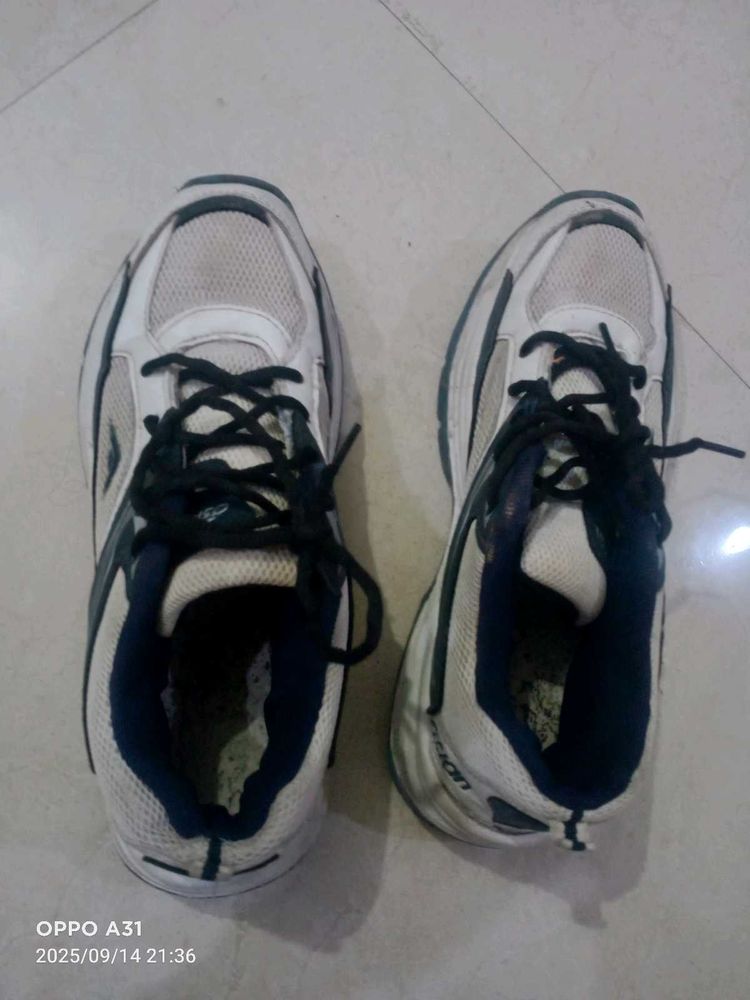Asian Shoes Like New