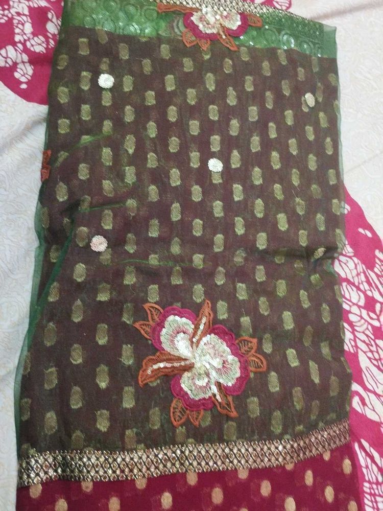 Elegant Embellished Saree