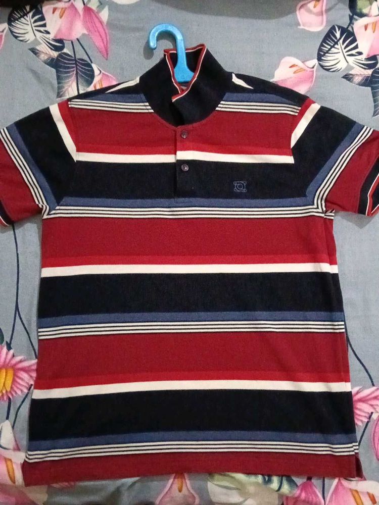 Striped Polo T-Shirt