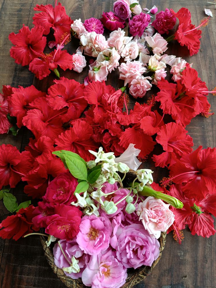 22 Steam Of Flowers 🌺🌹 combo