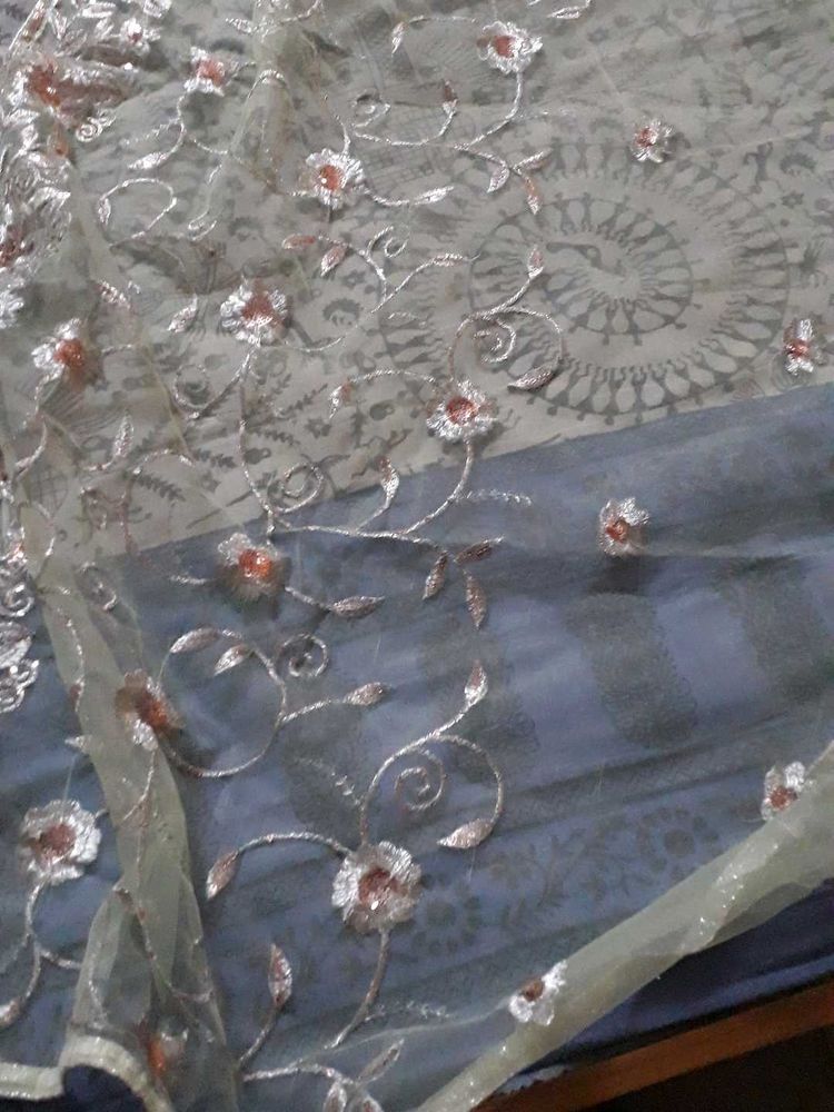 Beautiful Net Saree Without Blouse