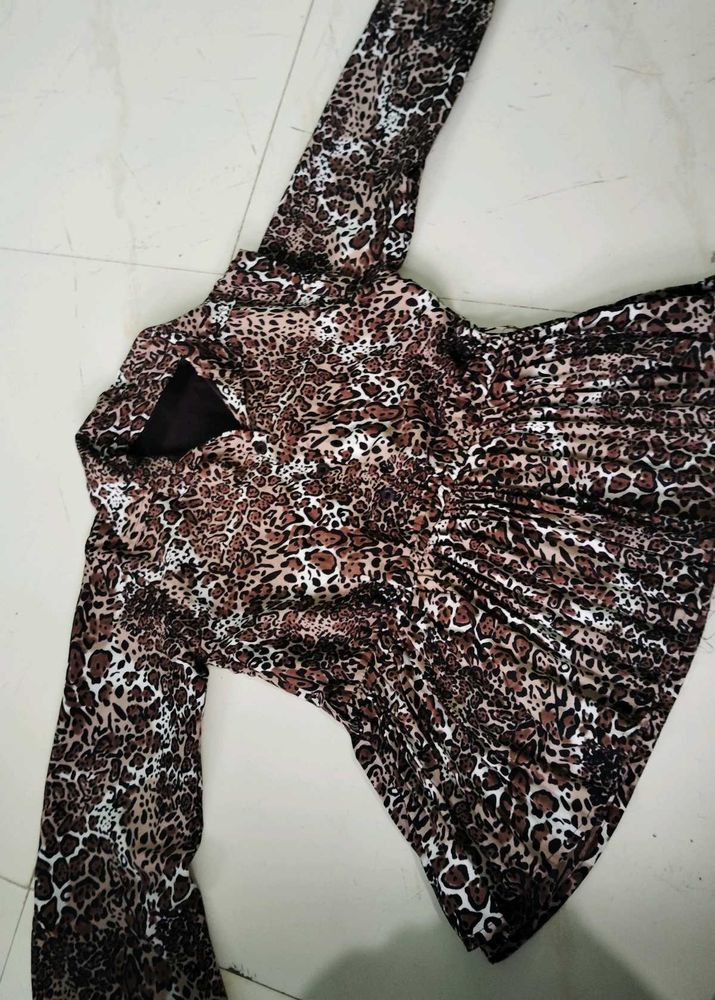 Animal Print Dress