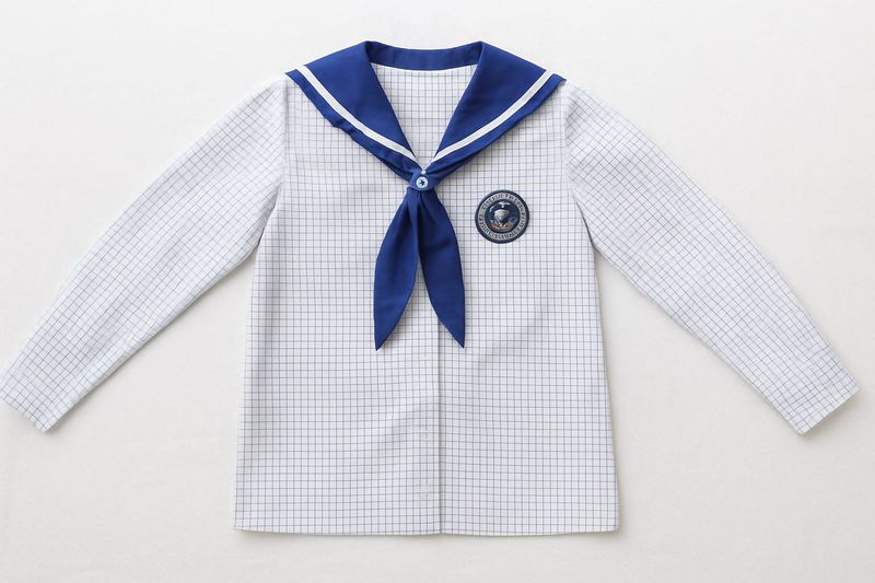 Lucknow Public school top