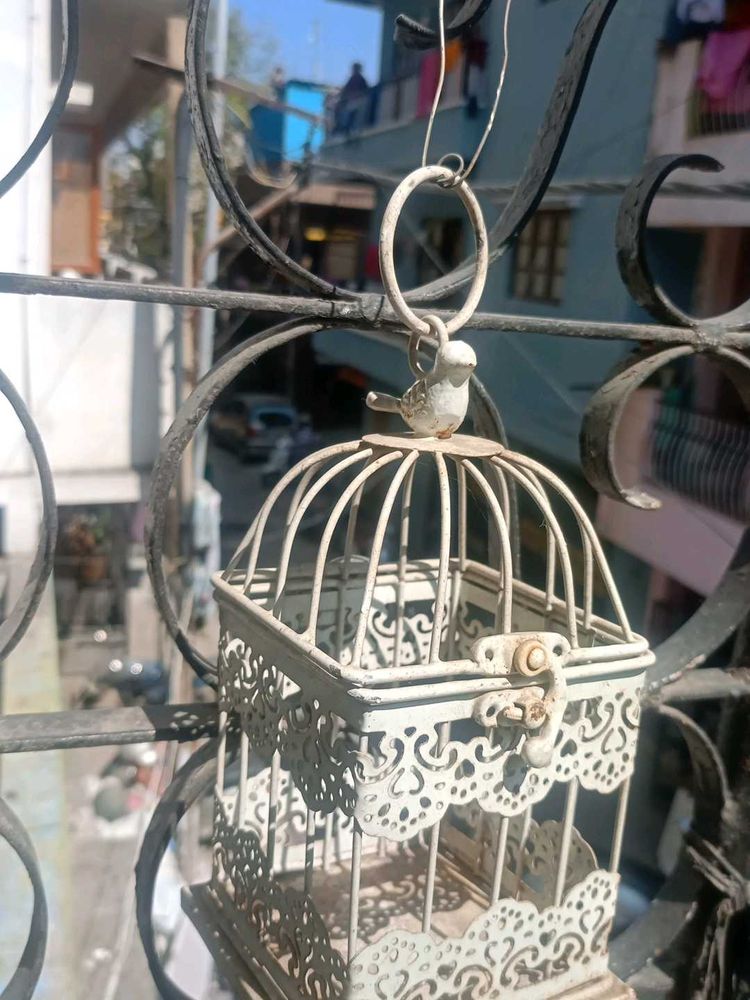 Decorative Bird Cage