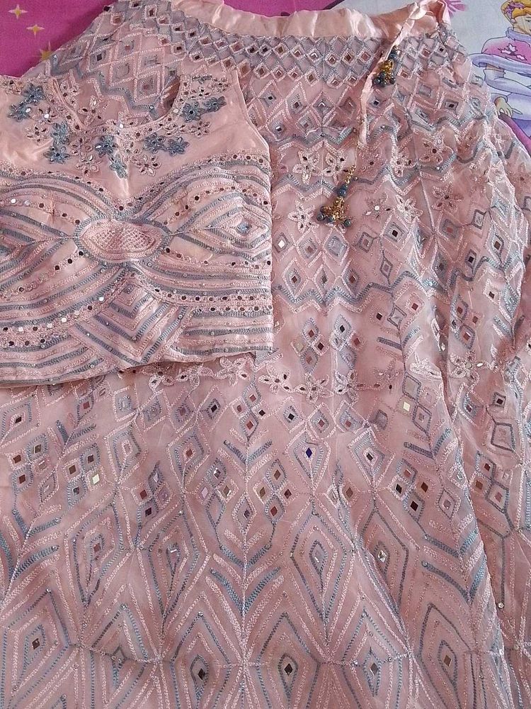 Pink Embroidered Lehenga Choli Set