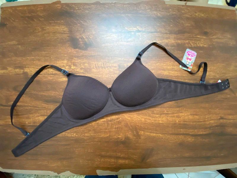 Brand New Cotton Padded Bra - 40B